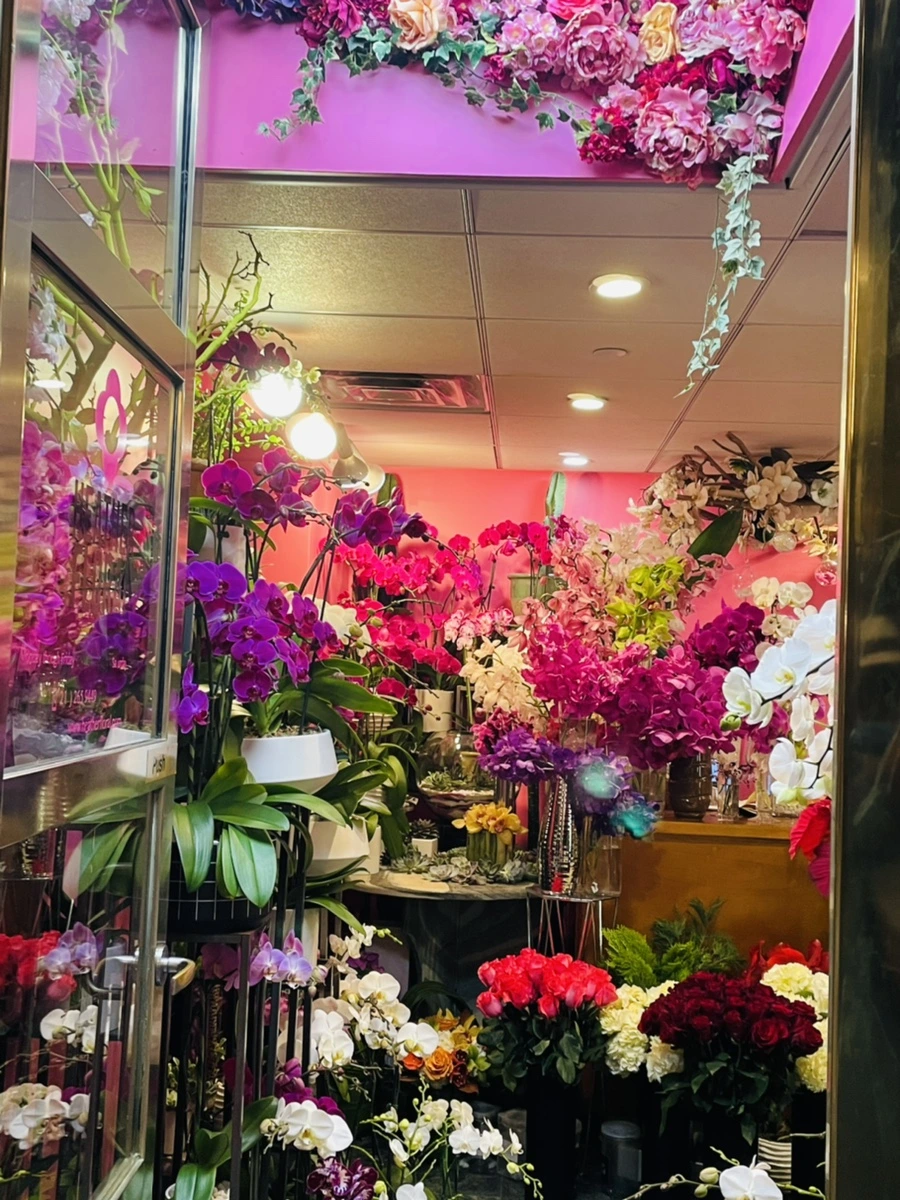 IMG_5437.jpg?type=w966