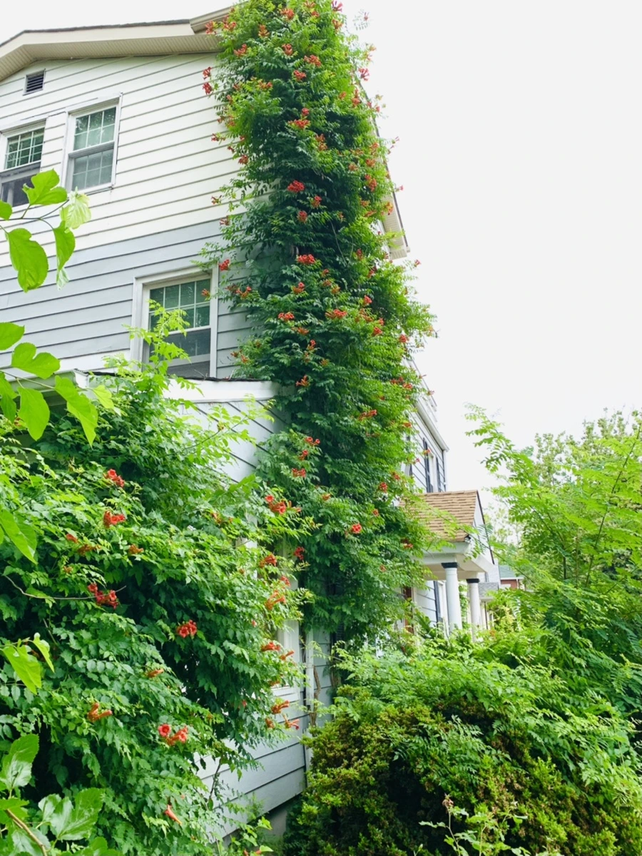 IMG_6941.jpg?type=w966