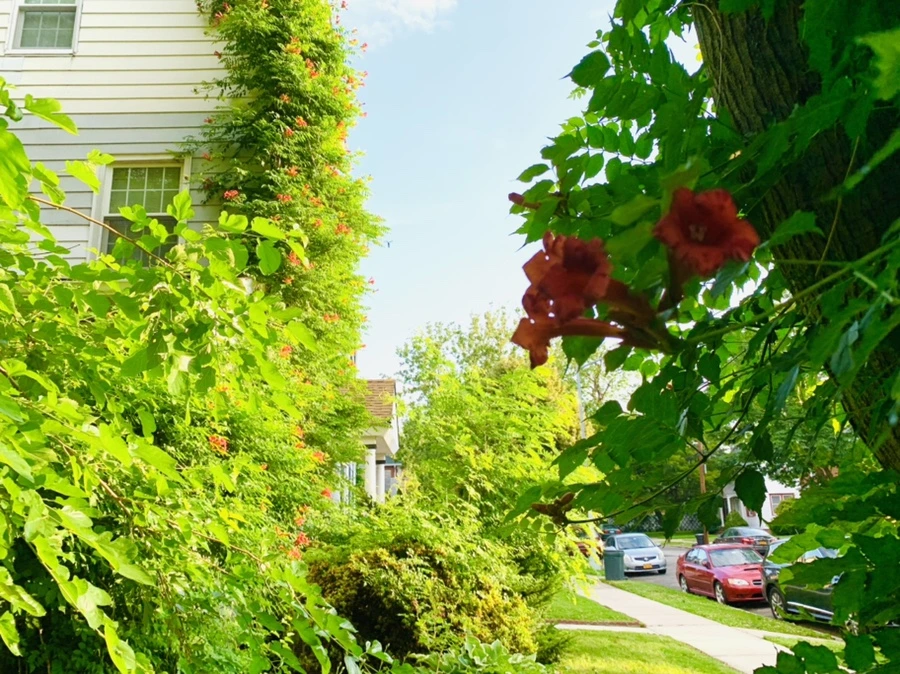 IMG_5831.jpg?type=w966