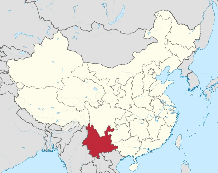 1572575660246.png?resize=700%2C557