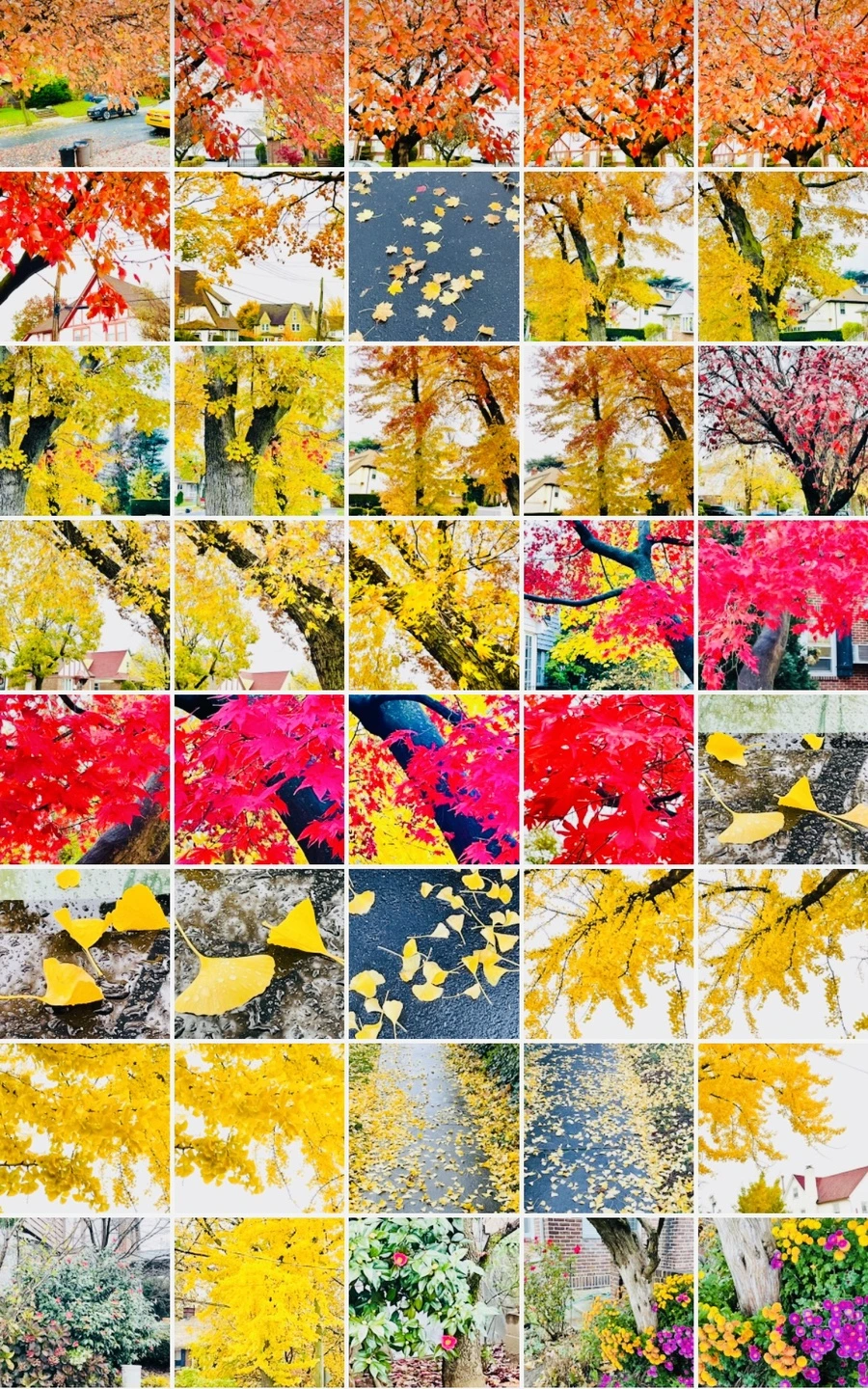 IMG_4957.jpg?type=w966