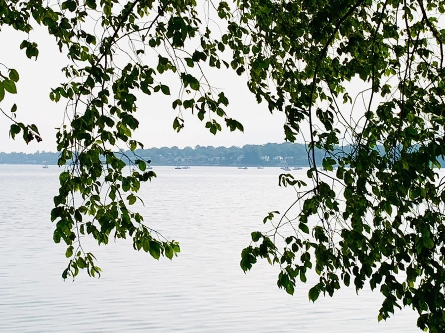 a1aRpYsHV-oDeZHNs4QCXizv_5E