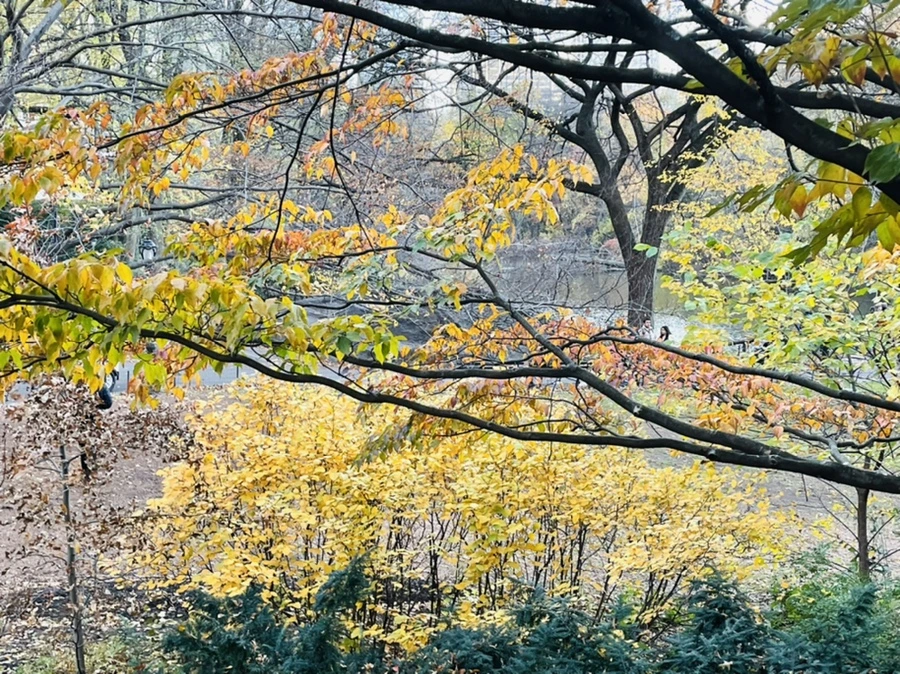 IMG_4997.jpg?type=w966