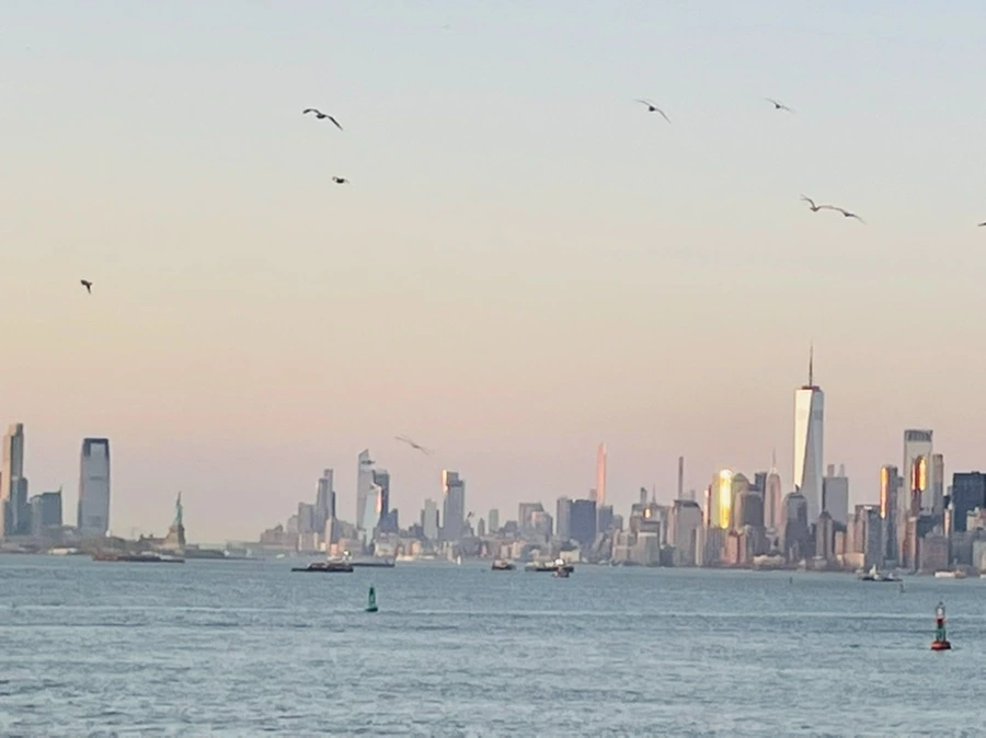 IMG_0773.jpg?type=w966