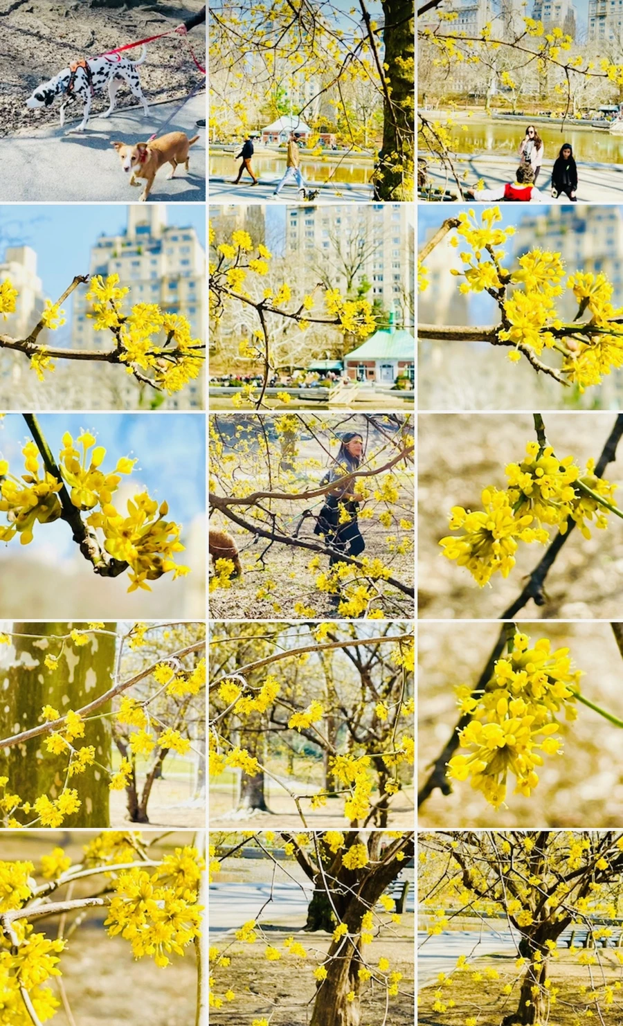 IMG_5663.jpg?type=w966