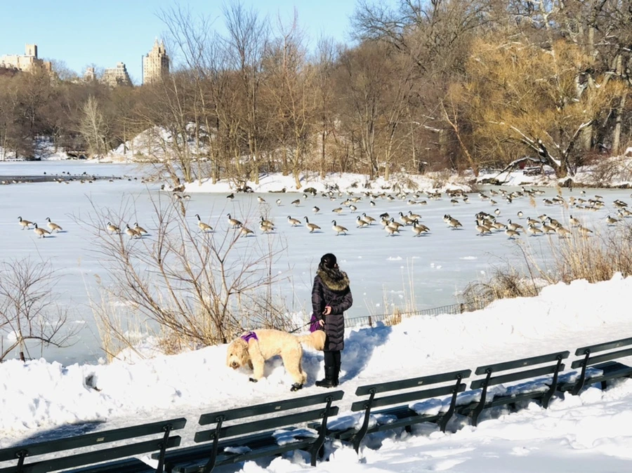 IMG_9854.jpg?type=w966