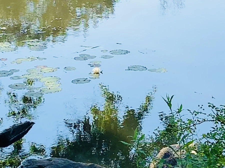 IMG_2107.jpg?type=w966