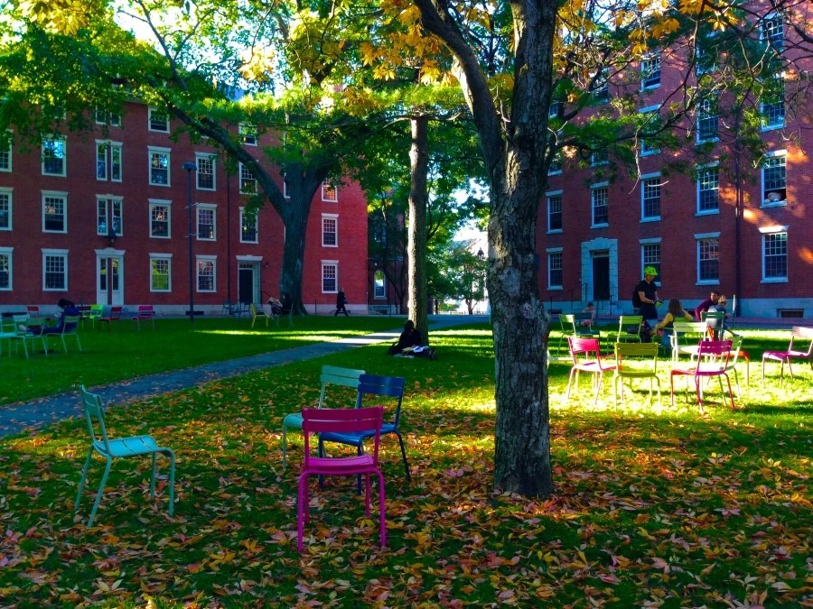 IMG_3748.JPG?type=w1