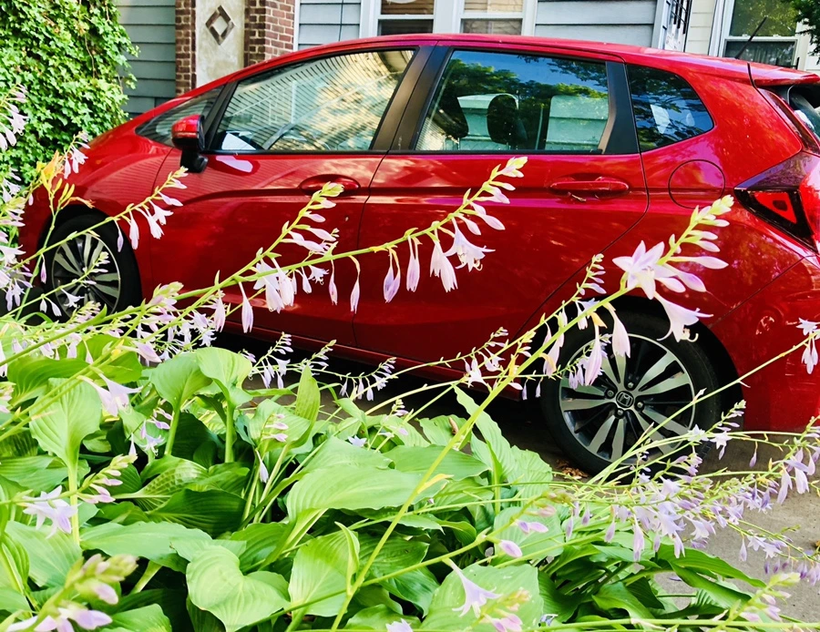 IMG_1872.jpg?type=w966