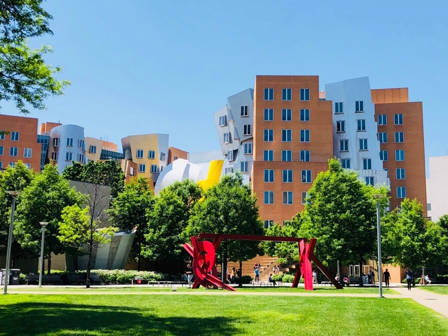 IMG_6910.jpg?type=w966