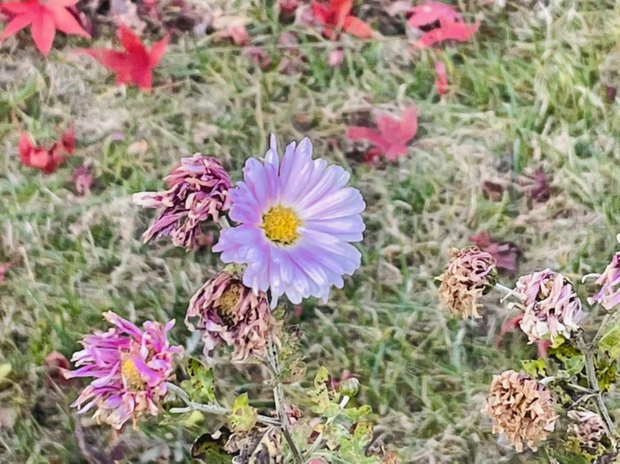 IMG_5900.jpg?type=w966