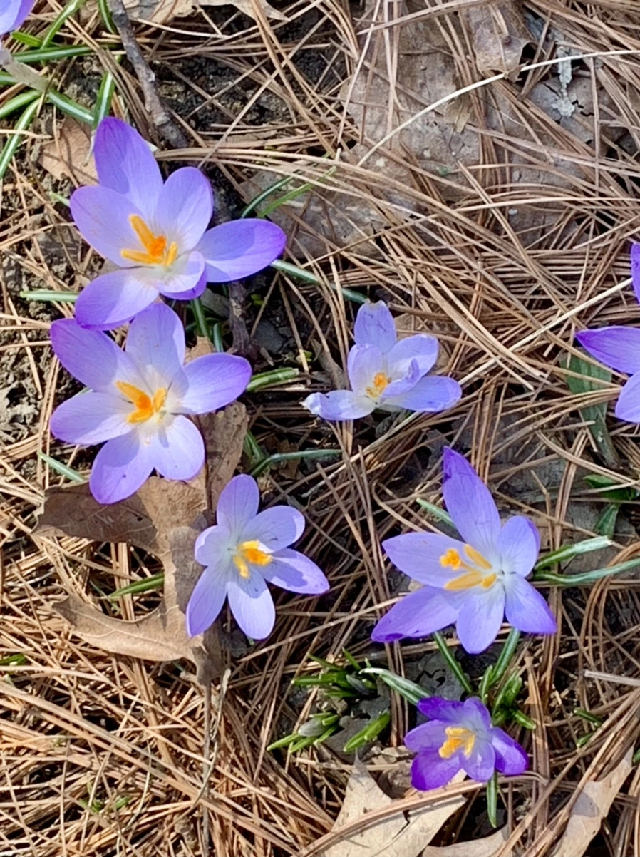 IMG_9740.jpg?type=w966