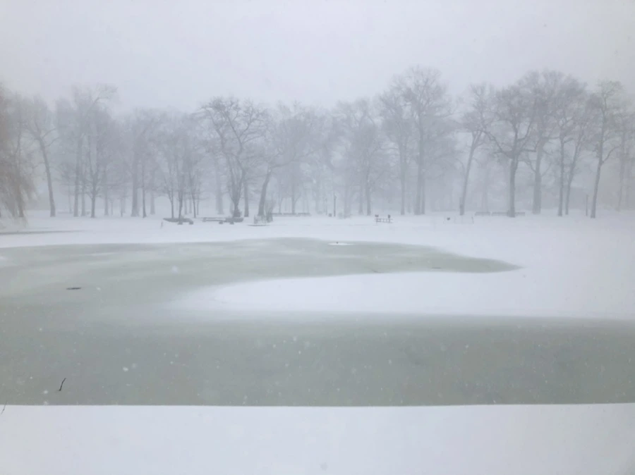 IMG_8843.jpg?type=w966