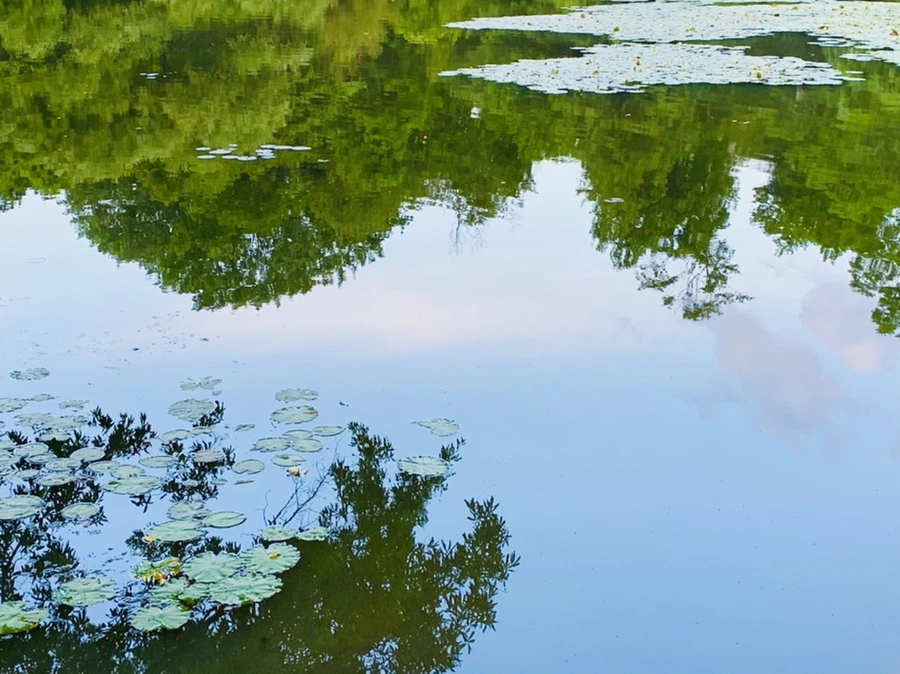 IMG_2982.jpg?type=w966