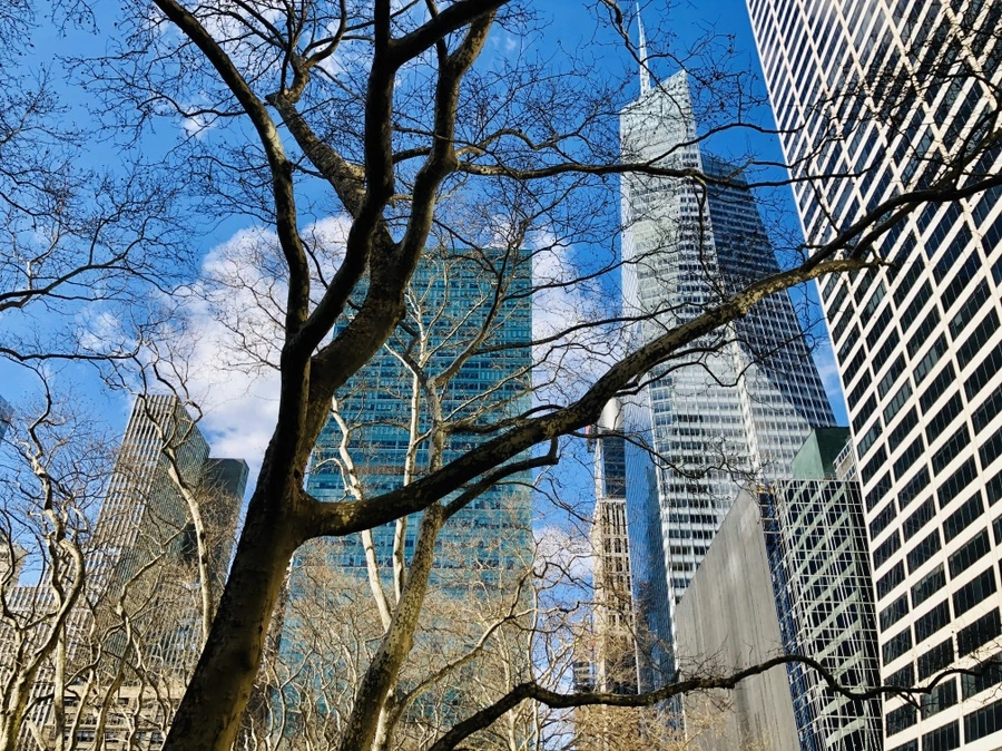 IMG_3798.jpg?type=w966