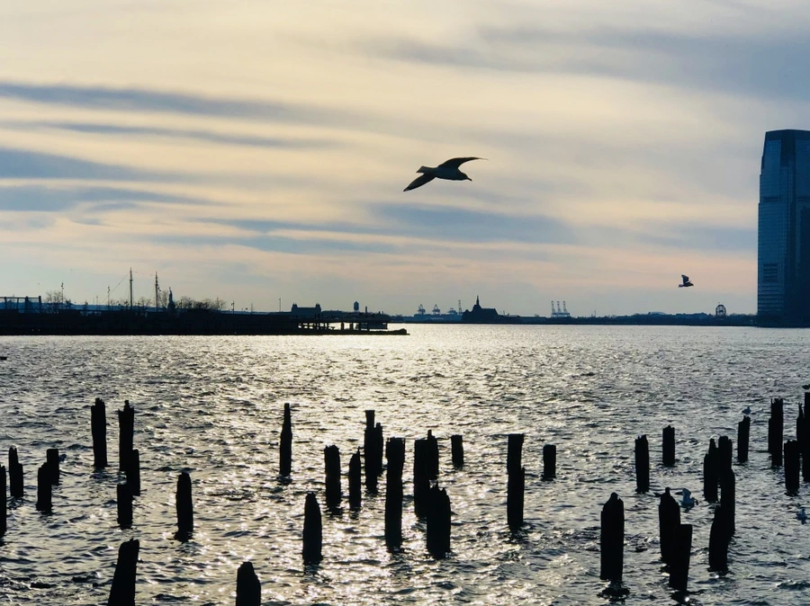 IMG_6798.jpg?type=w966