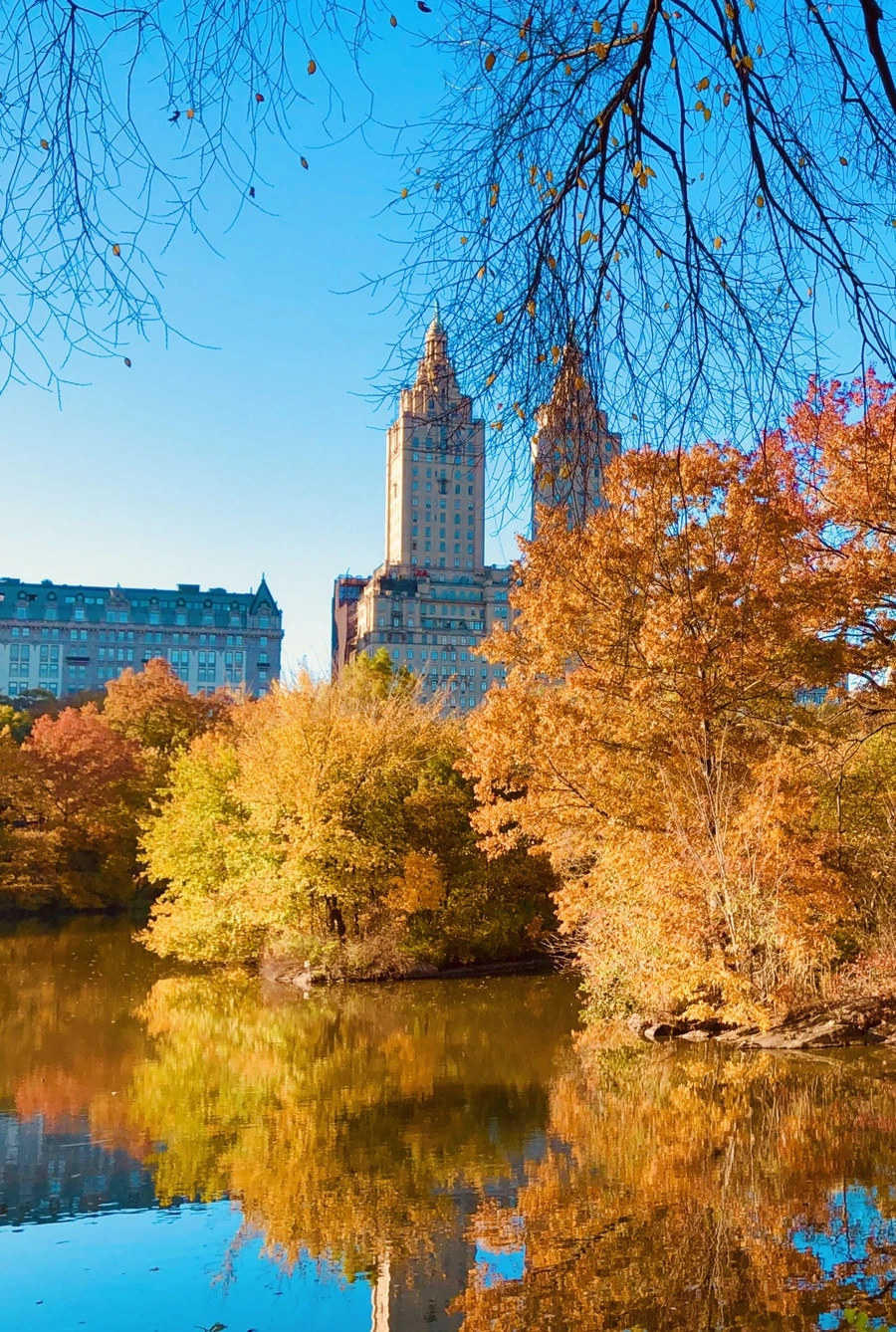 IMG_3594.jpg?type=w966