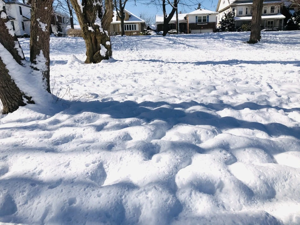 IMG_1283.jpg?type=w966