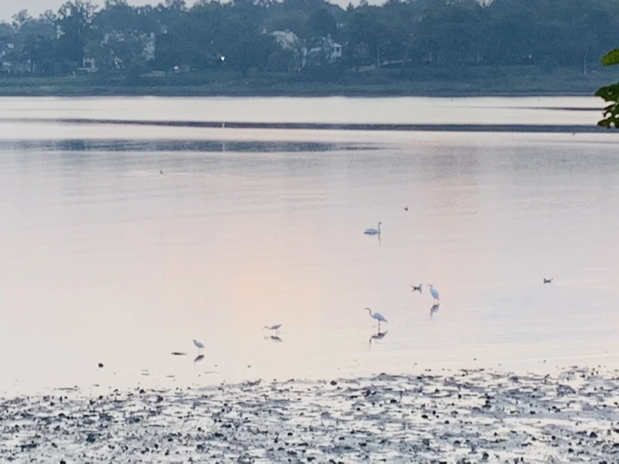 IMG_8164.jpg?type=w966