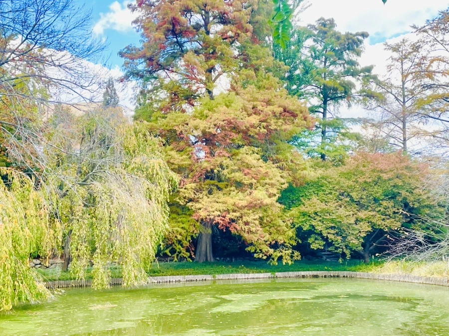 IMG_0172.jpg?type=w966