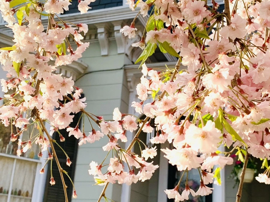 IMG_3671.jpg?type=w966