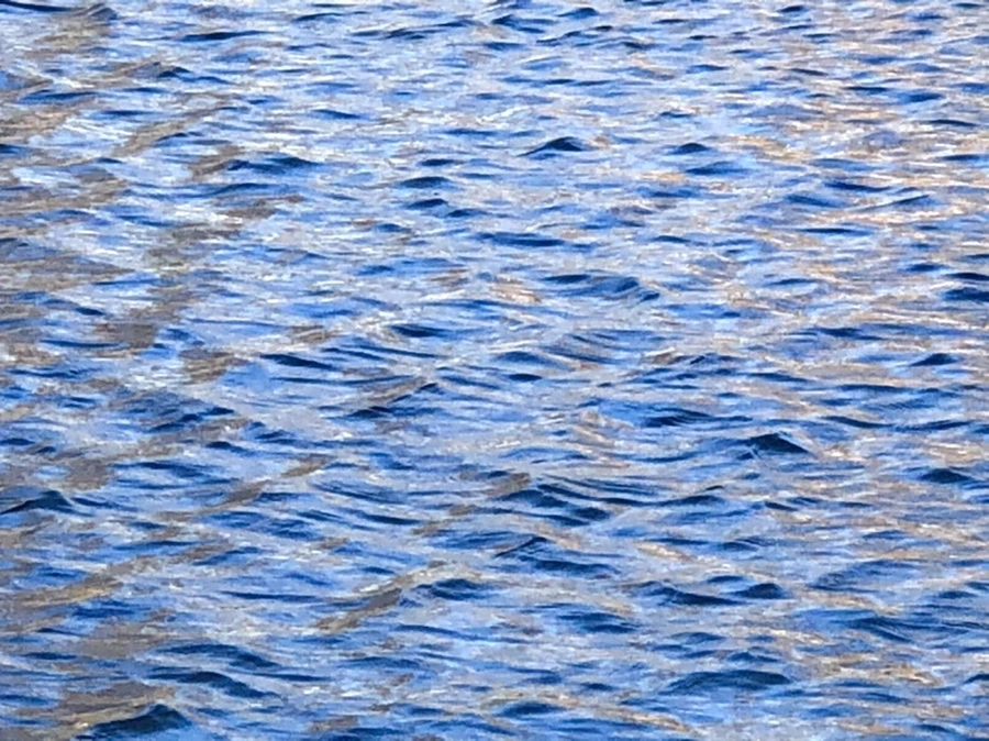 IMG_3763.jpg?type=w966