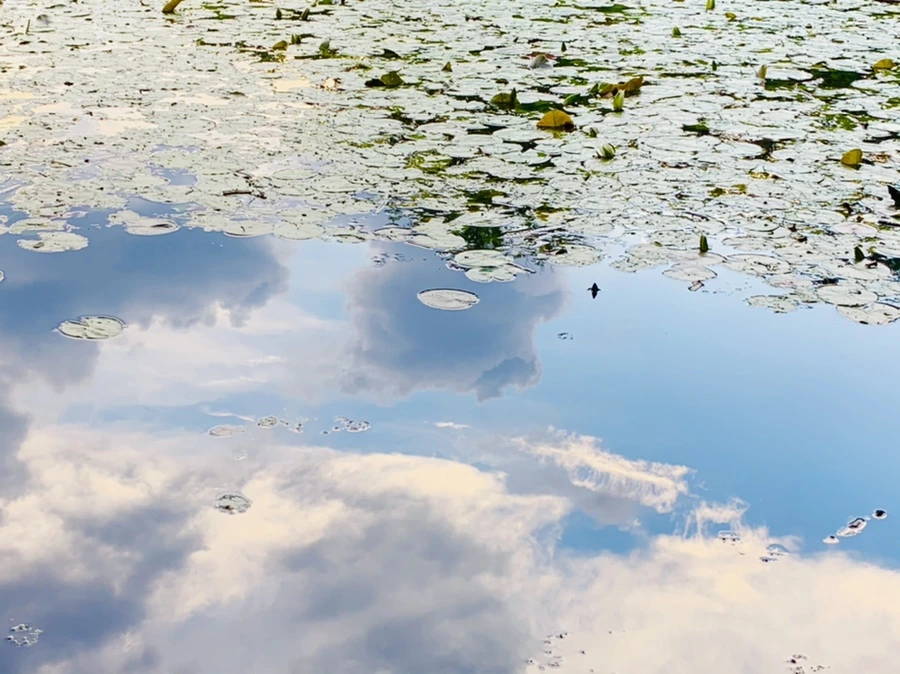 IMG_3006.jpg?type=w966