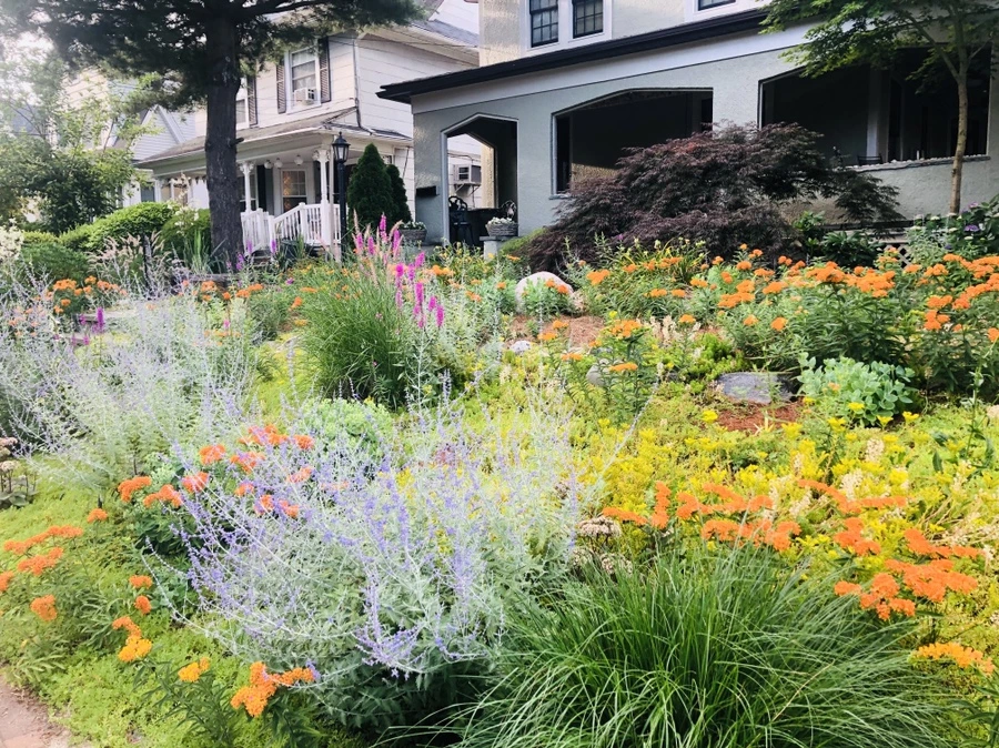 IMG_0940.jpg?type=w966