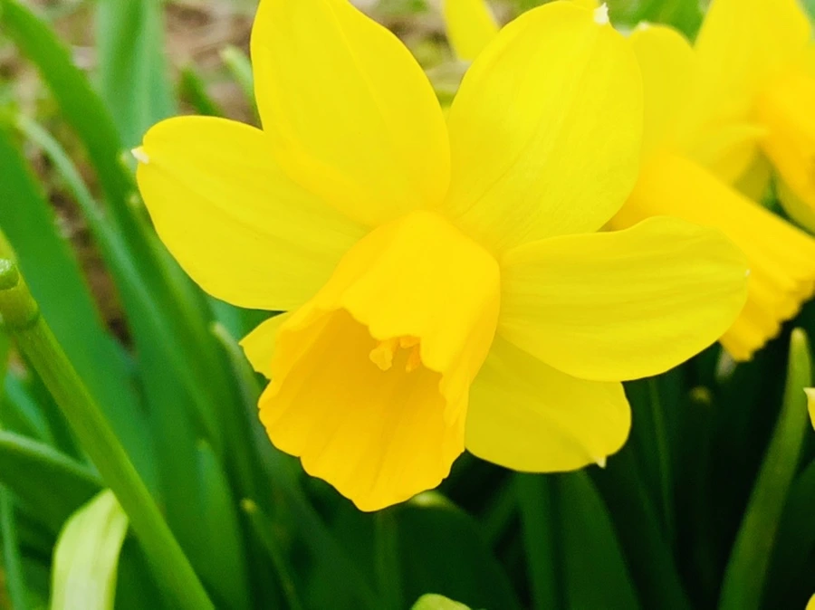 IMG_3216.jpg?type=w966