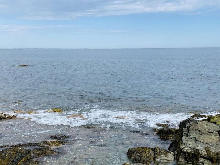 IMG_2797.jpg?type=w966