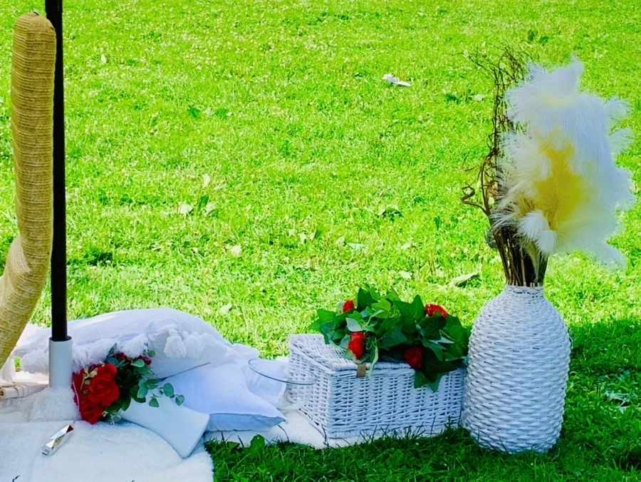 IMG_3419.jpg?type=w966