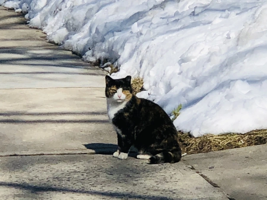 IMG_3922.jpg?type=w966