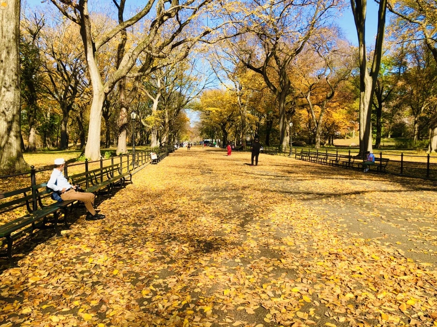 IMG_4245.jpg?type=w966