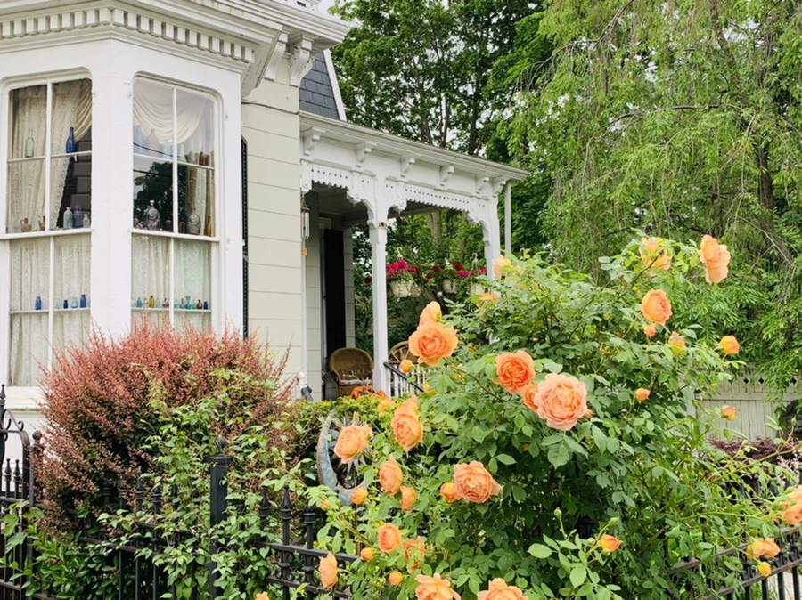 IMG_5289.jpg?type=w966