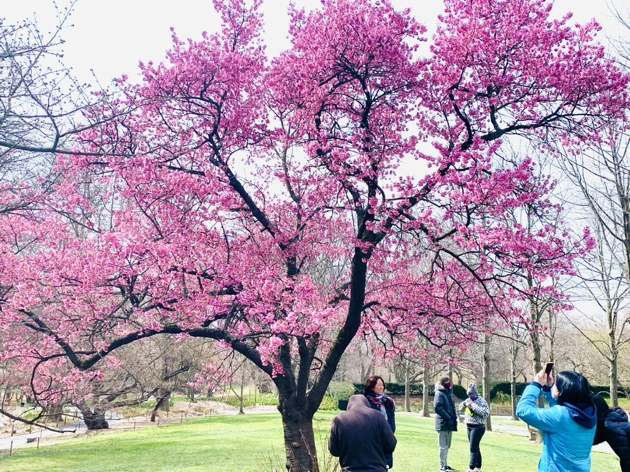 IMG_6558.jpg?type=w966