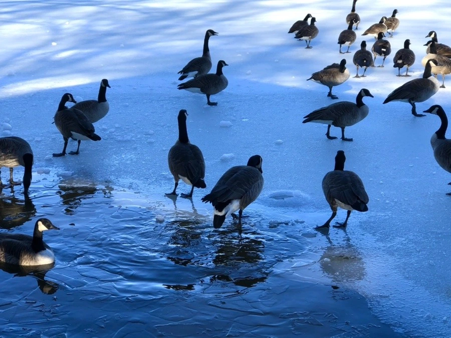 U20ao13ur1Fz-sALXDuXJZkOJg4