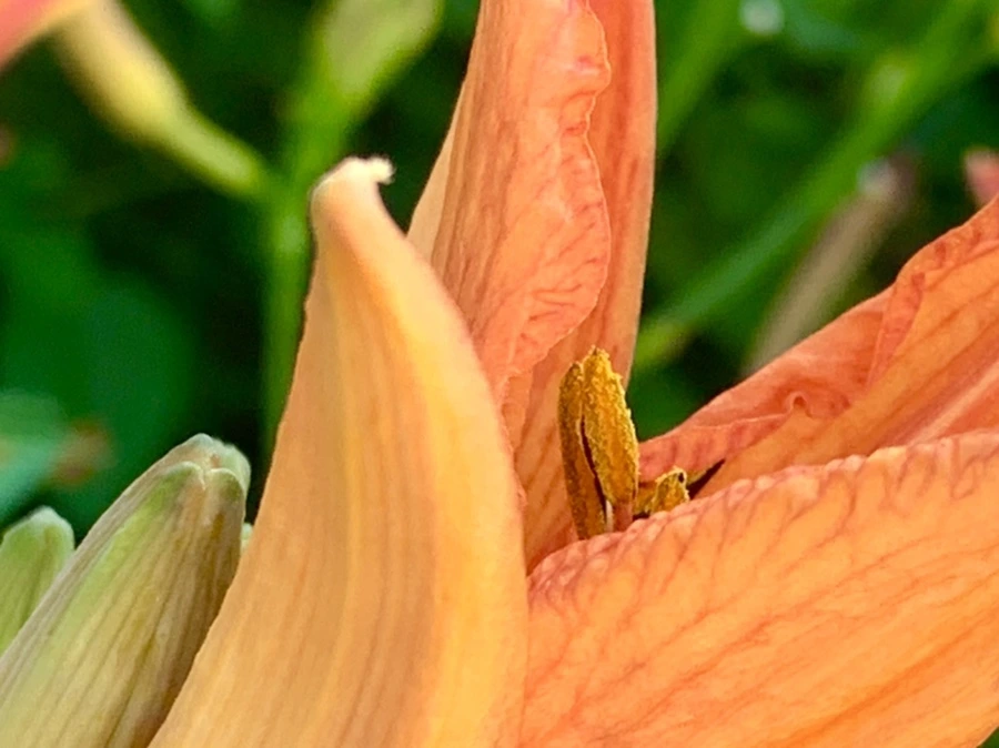 IMG_4872.jpg?type=w966