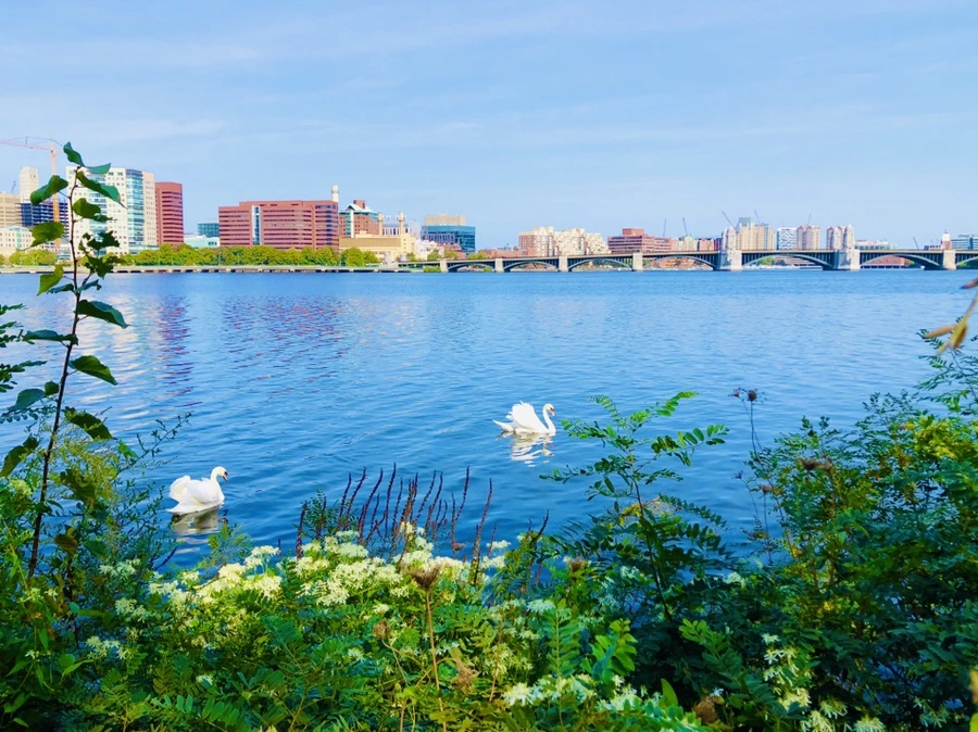 IMG_0933.jpg?type=w966