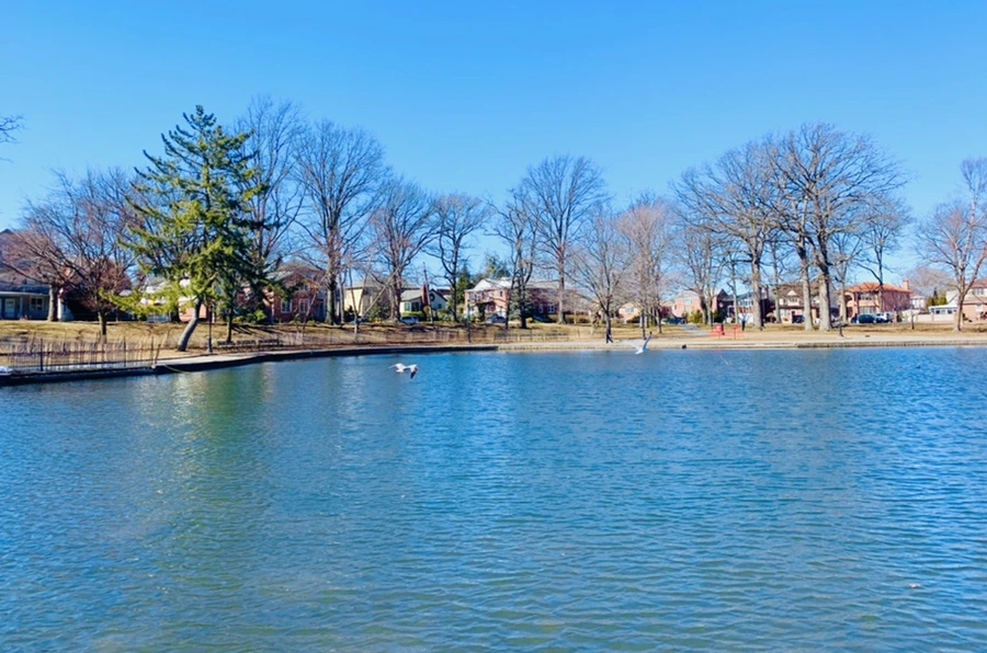 IMG_7621.jpg?type=w966