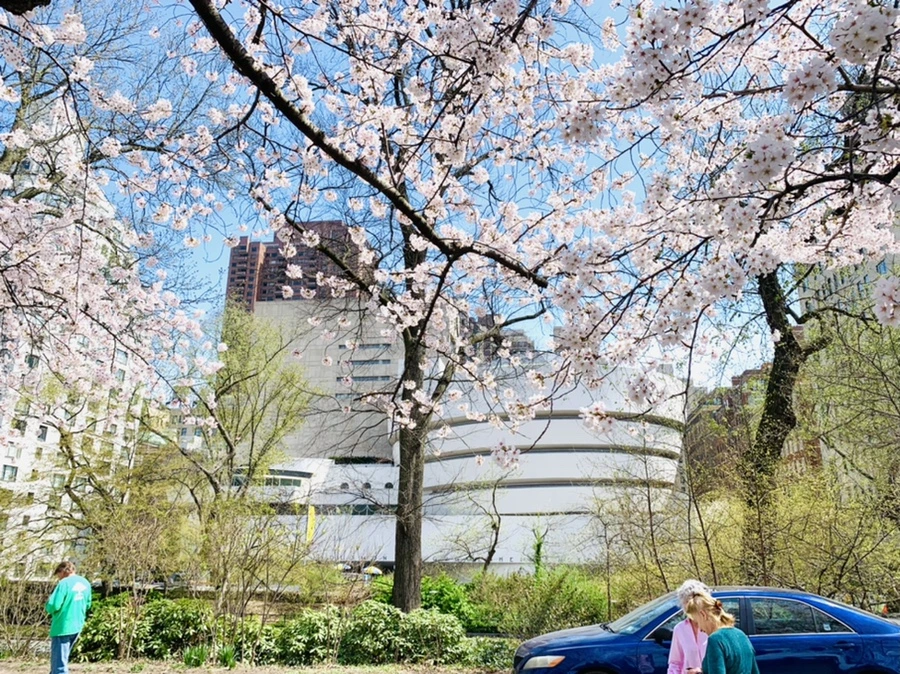 IMG_0165.jpg?type=w966