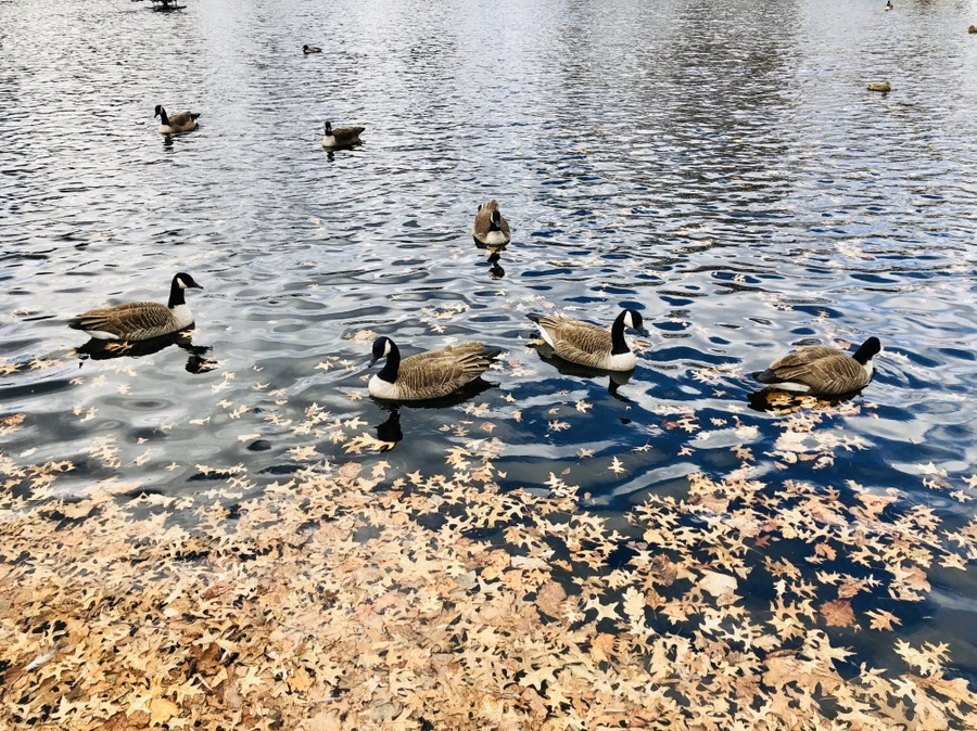 IMG_3218.jpg?type=w966