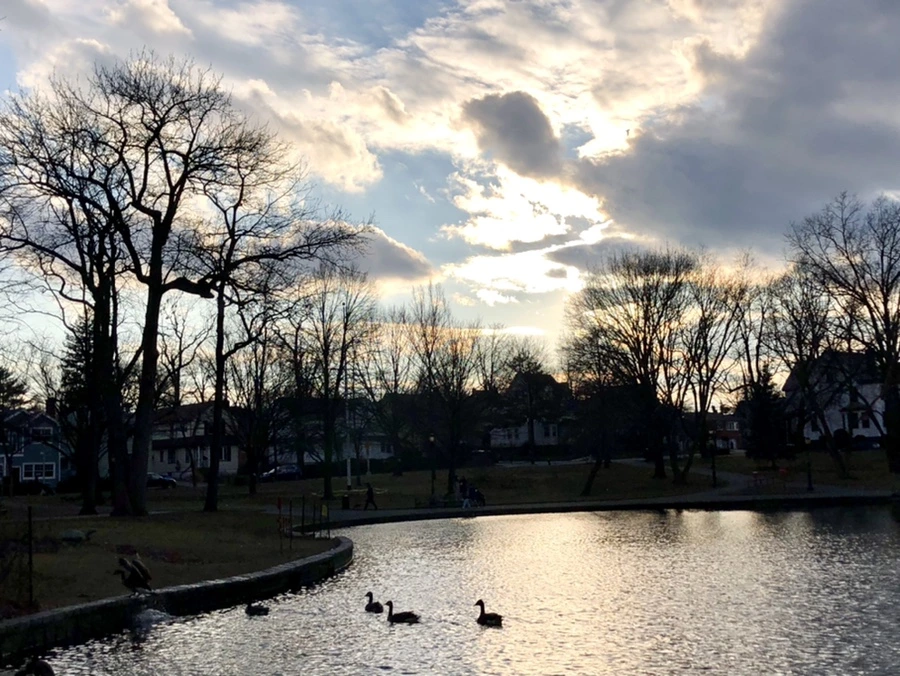 IMG_4405.jpg?type=w966