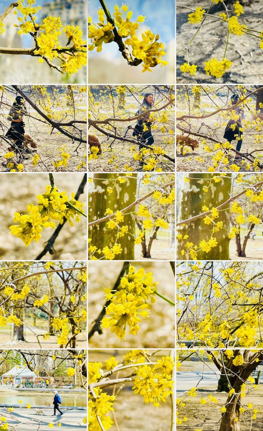 IMG_5652.jpg?type=w966