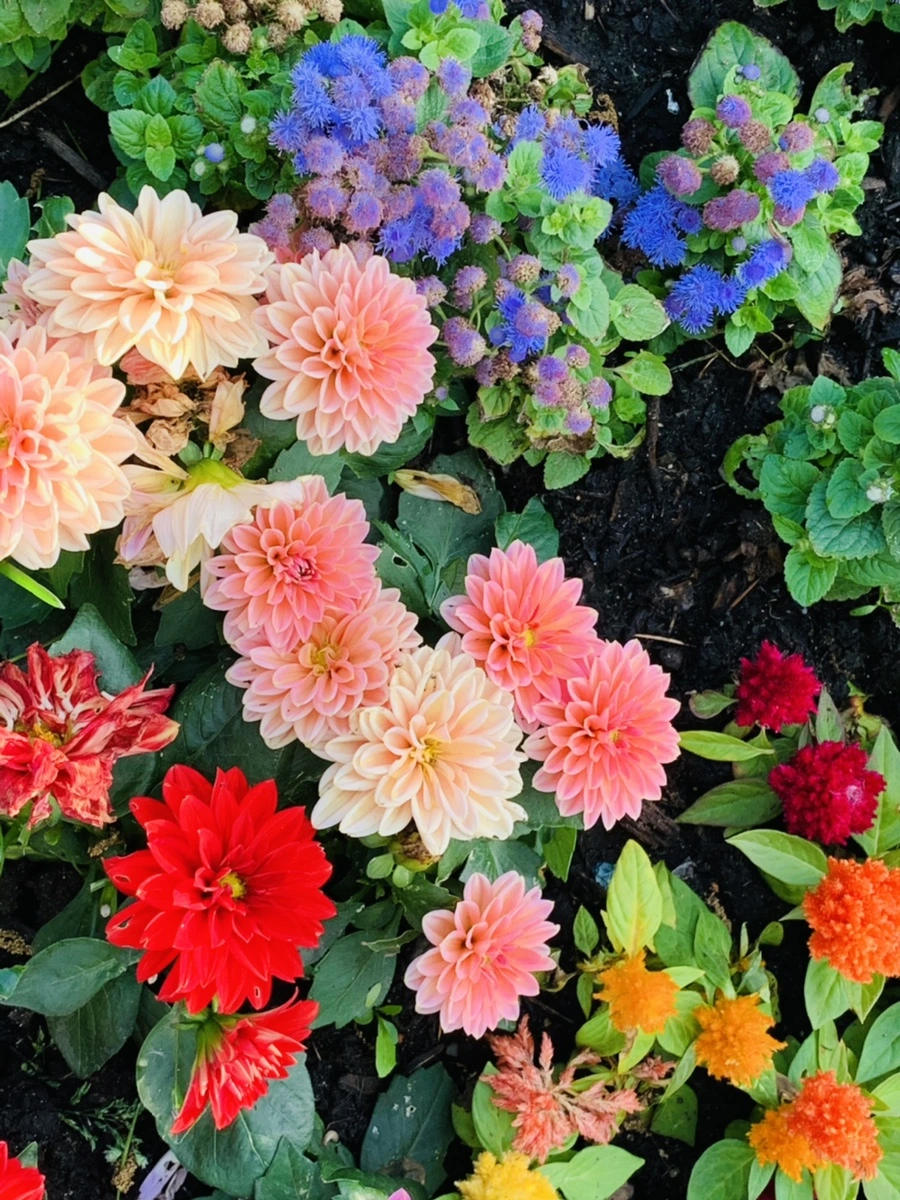 IMG_4520.jpg?type=w966