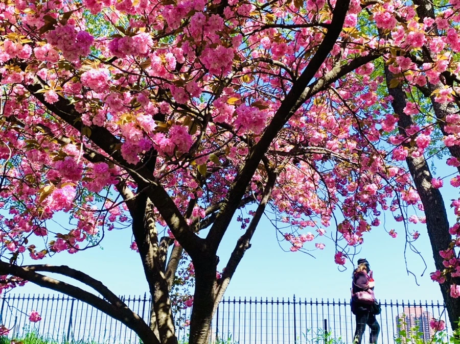 IMG_5985.jpg?type=w966