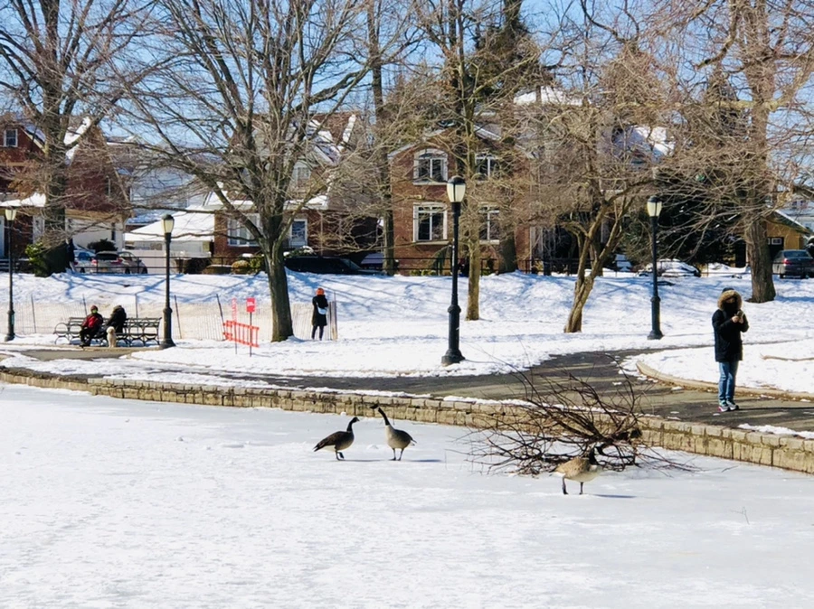 IMG_3933.jpg?type=w966