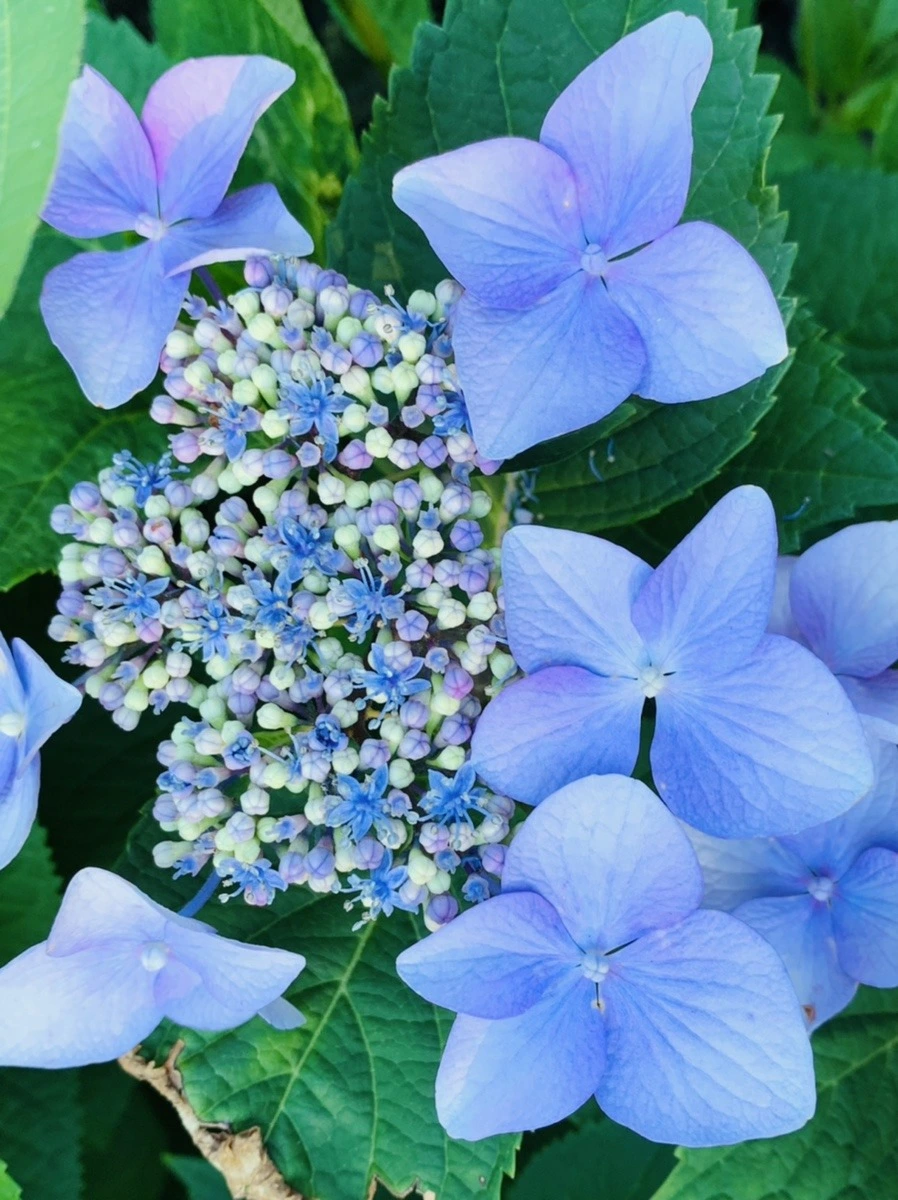 akkU7ol-a2L_b68YAYbPEshG6OI