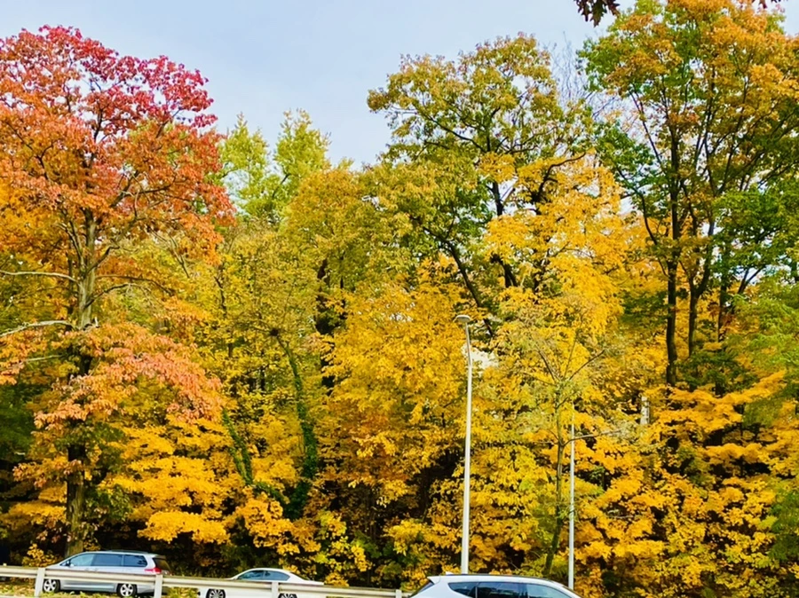 IMG_2303.jpg?type=w966