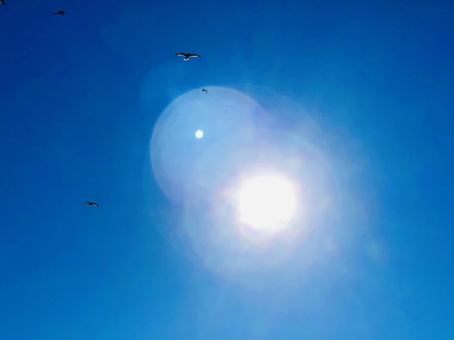 IMG_8034.jpg?type=w966