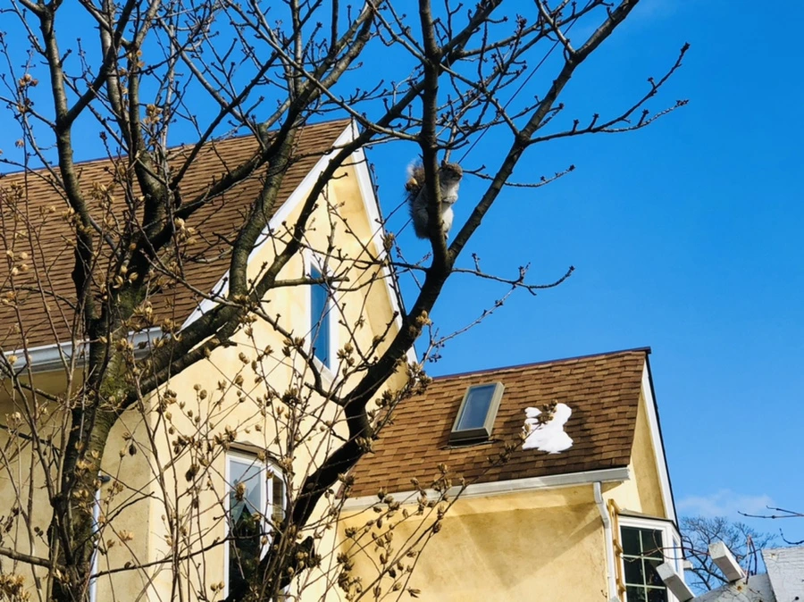 IMG_3005.jpg?type=w966